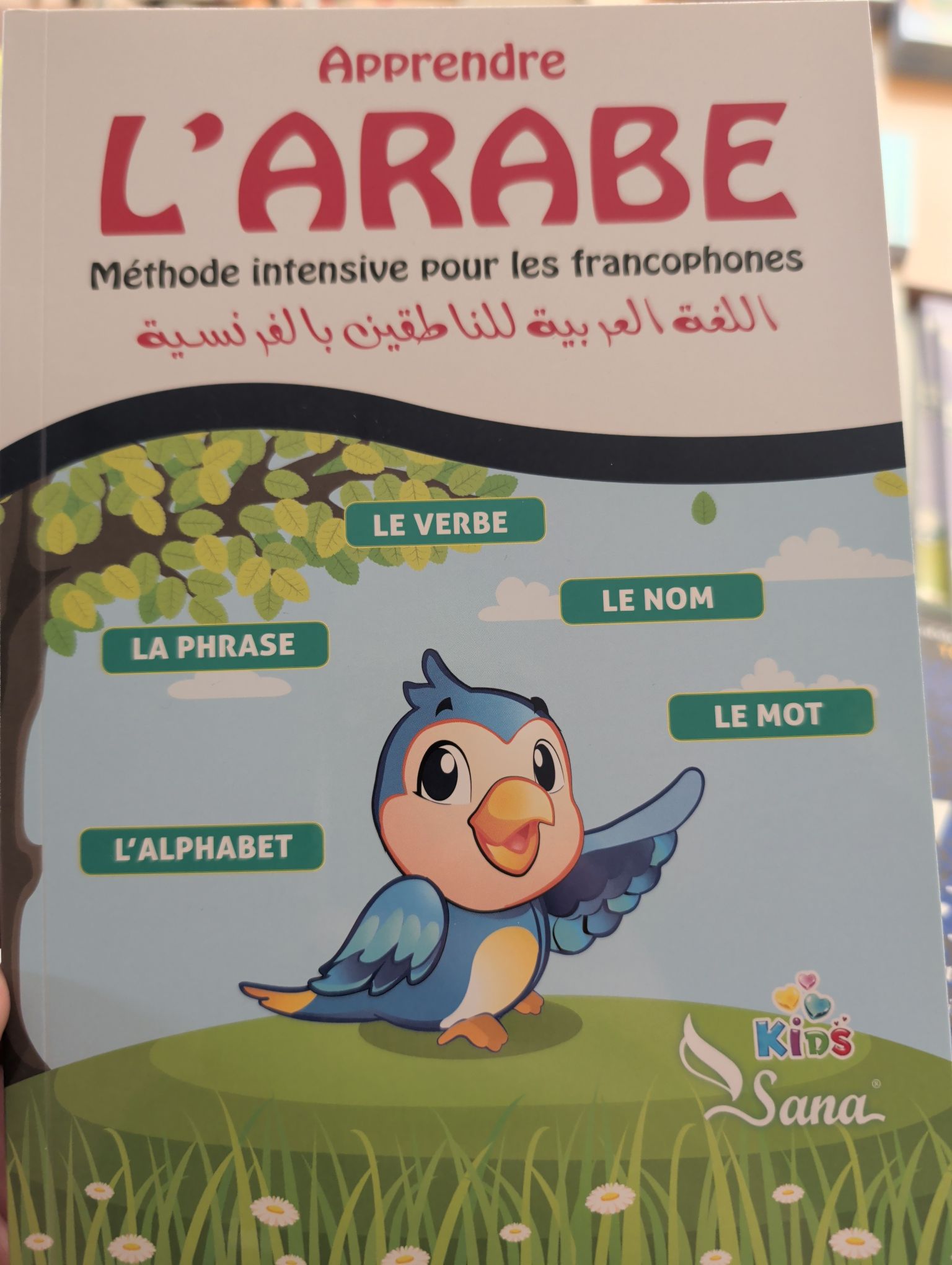 Apprendre l’Arabe : Méthode intensive pour les francophones